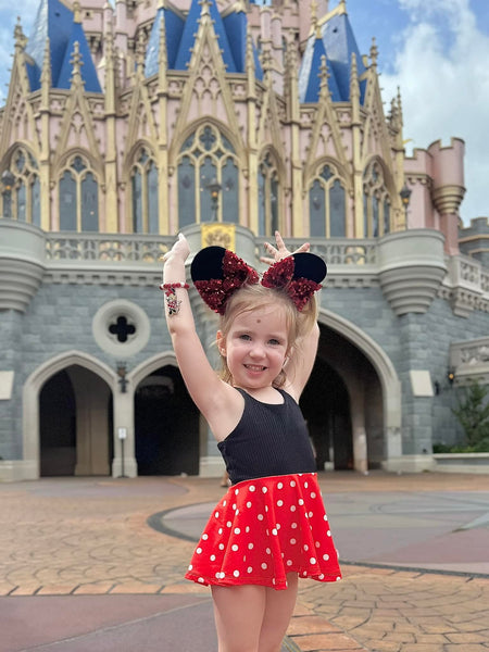 Mystery Mouse ears